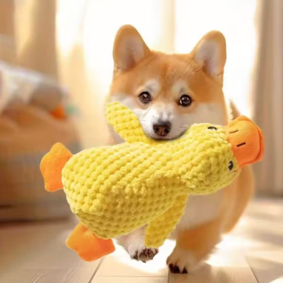 Interactive Dog Toy
