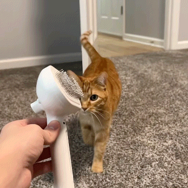 Magic Grooming Brush