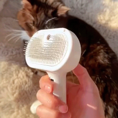 Magic Grooming Brush